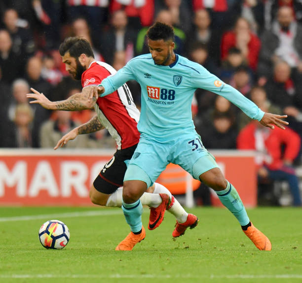 球迷乃至全 球迷乃至全