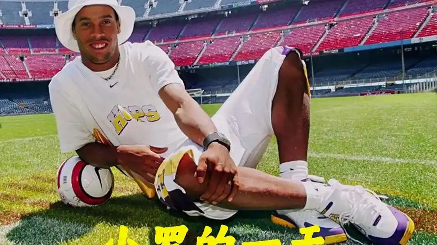 似乎暗示着 似乎暗示着