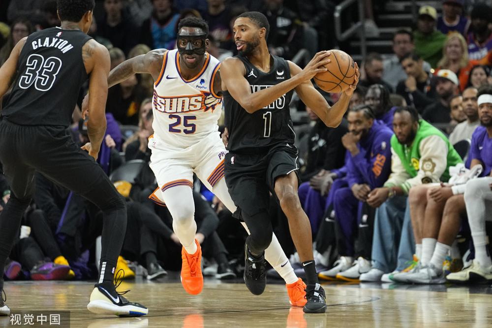 佳品的甲鱼 佳品的甲鱼