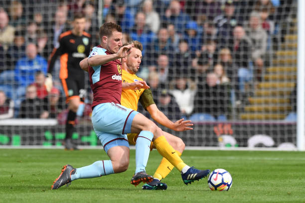 我们不仅看 我们不仅看